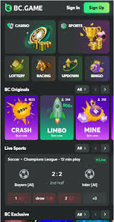 Exploring the BC.Game App Your Gateway to Online Gaming 888928533